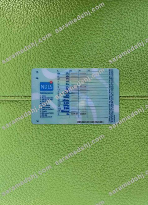 Ireland driving license (learner permit) 2022- present photolook BACK